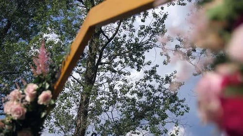 Romantic Wedding Arch Decorated with Pink Roses