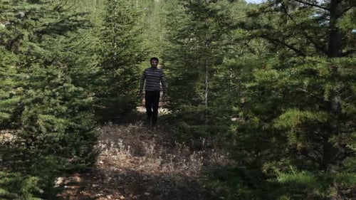 Man Hand Ax Forest