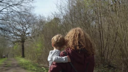 Mother carries Toddler boy along path in forest on sunny day, top angle