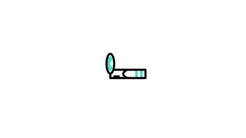 Currency Animated Icon