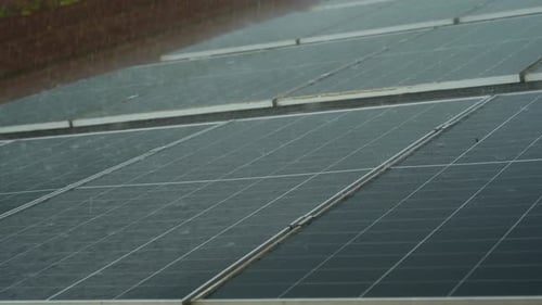 A static shot of rain‑damp solar panels in close‑up, their dark glass surfaces glistening with
