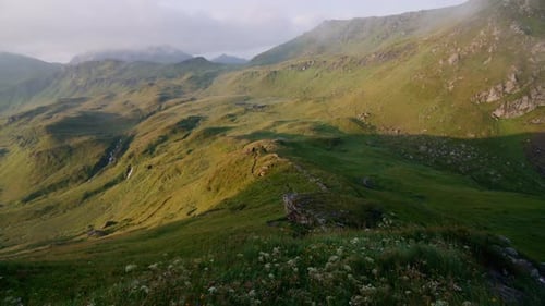 Austrian alps landscape with trails and grassy mountains and flowers in the foreground with slow cam