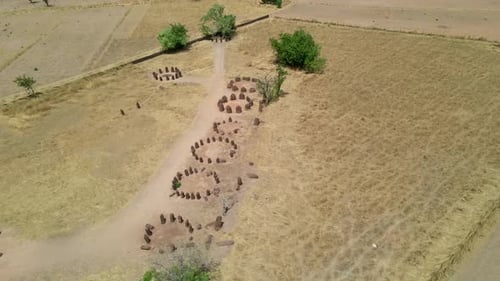Zumbido dando vueltas alrededor de los círculos de piedra senegambianos en Gambia