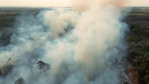 Smoke over forest caused by forest fire over fields and forests in the Corozal District Belize