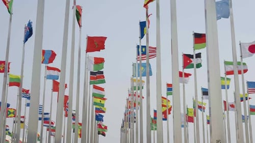 Many World Flags Waving in the Wind
