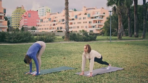 Tranquil yogini stretching body on yoga mat at city park summer morning workout