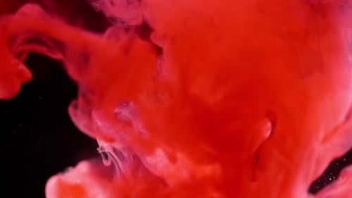 Red Ink Cloud Swirling in Black Water