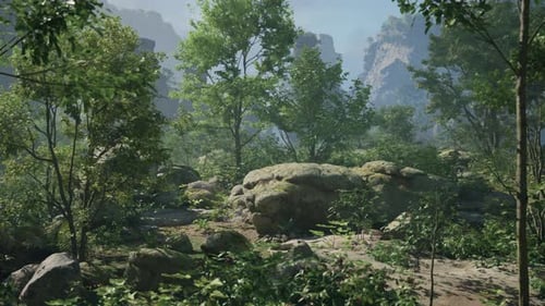 A Large Rock in the Middle of a Forest