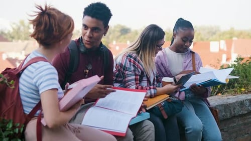 Diverse Students Studying and Talking Together Outdoors