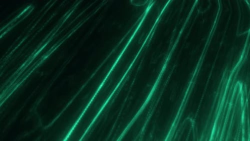 Dynamic Green Neon Lines Abstract Technology Background