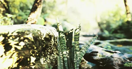 Des plantes vertes luxuriantes prospèrent au bord d'un ruisseau étincelant dans une jungle vibrante