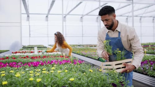 Colleagues Working in Garden Center