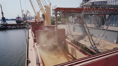 Grain Loading to Bulker Ship Cargo Container at Sea Grain Terminal in Seaport Grain Shipment From