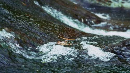 Heavenly Waterfall In Creek Wiew In Green Nature 10