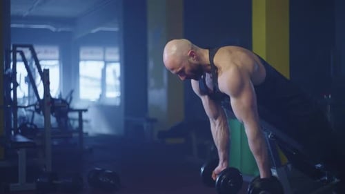 Muscular Adult Man Lifting Dumbbells in Gym
