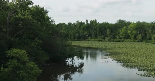 Reflection Over Tranquil Lake With Aquatic Plants Floating On The Surface. Aerial Drone Shot