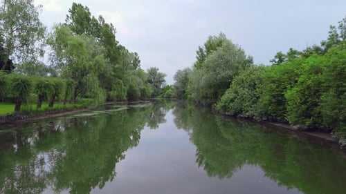 Drone flying above the river between the trees, Ljubljanica river, Slovenia