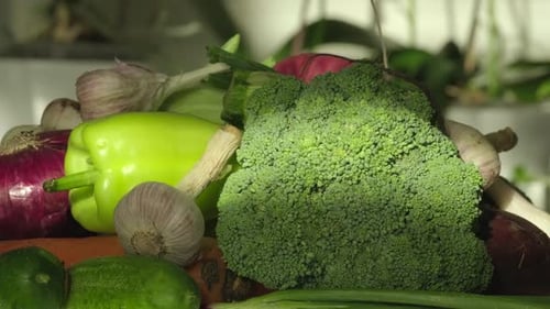 Fresh Vegetables Arranged for Cooking Preparation