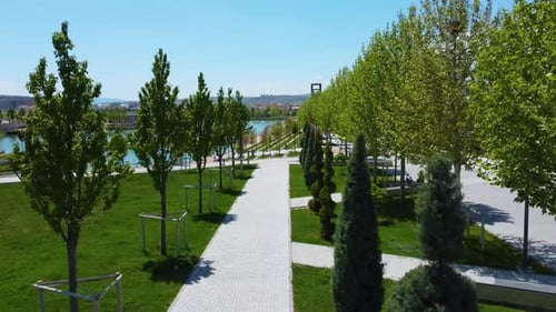Passarela em um parque entre árvores