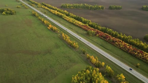 Car Drives Along Road Near Field and Trees Aerial View Automobile in Driving on Highway in Autumn