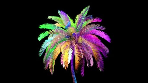 Vibrant Color Changing Palm Tree Animation