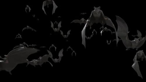 Flock of Flying Bats Animation for Spooky Halloween Scenes