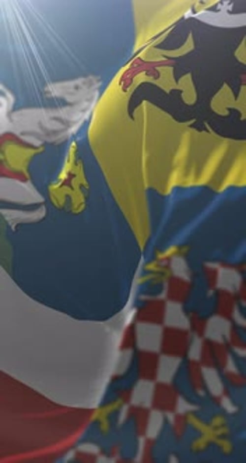Waving National Flags with Historical Crests Looping Animation