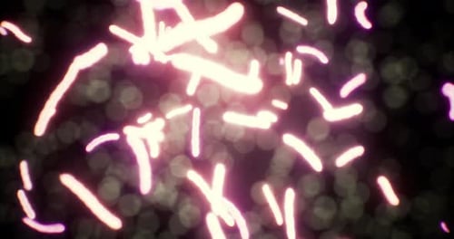 Dynamic Abstract Glowing Scientific Organism Background