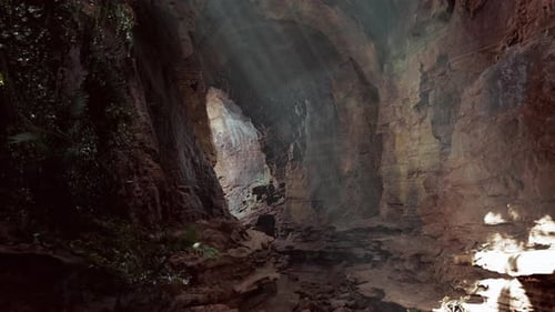 Una cueva mística iluminada por el volumen de la luz y llena de árboles y rocas