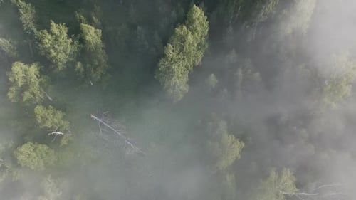 Rainy Weather in Mountains