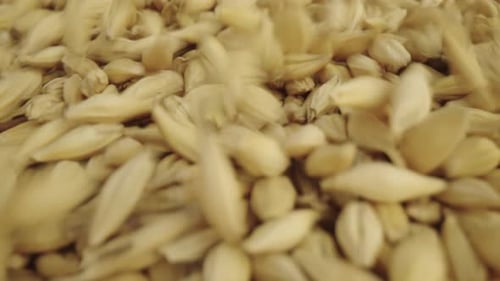 Producto base: Oats