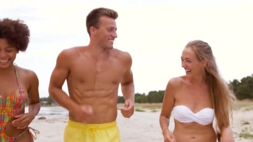 Friendship, Summer Holidays and People Concept - Happy Friends Running on Beach Adult