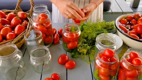 Canning Fresh Red Tomatoes for Food Preservation
