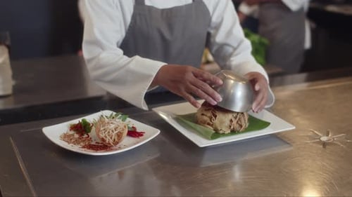 Chef Prepares Gourmet Food in Commercial Kitchen