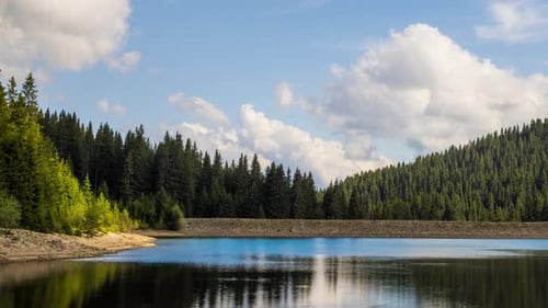 Lake with Clear Water and Stone Shore in Spruce Forest with Fir Trees Against a Daytime Sky