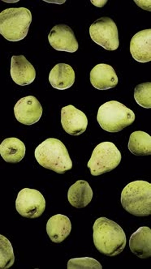 Vertical Floating Guavas on Alpha
