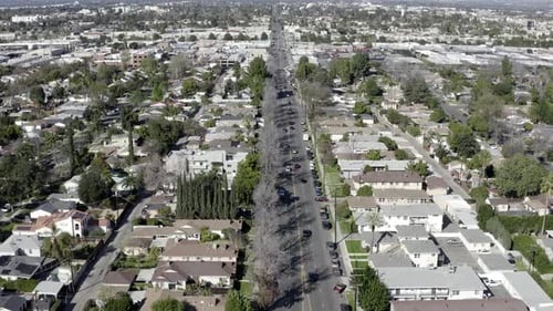 Aerial View of Tree-Lined Suburban Neighborhood