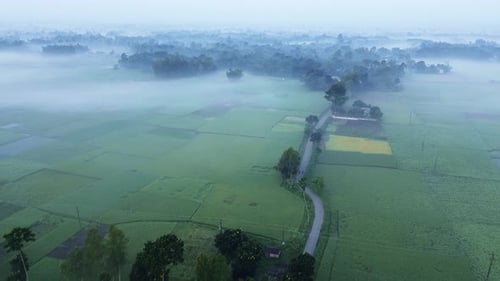 Foggy Morning in a village drone shot