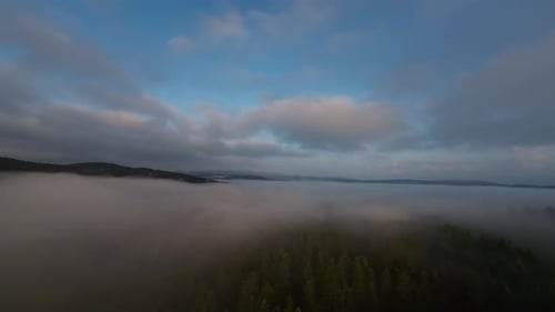 Aerial Fpv Drone Flying in the Misty Forest with Morning Fog on Sunrise