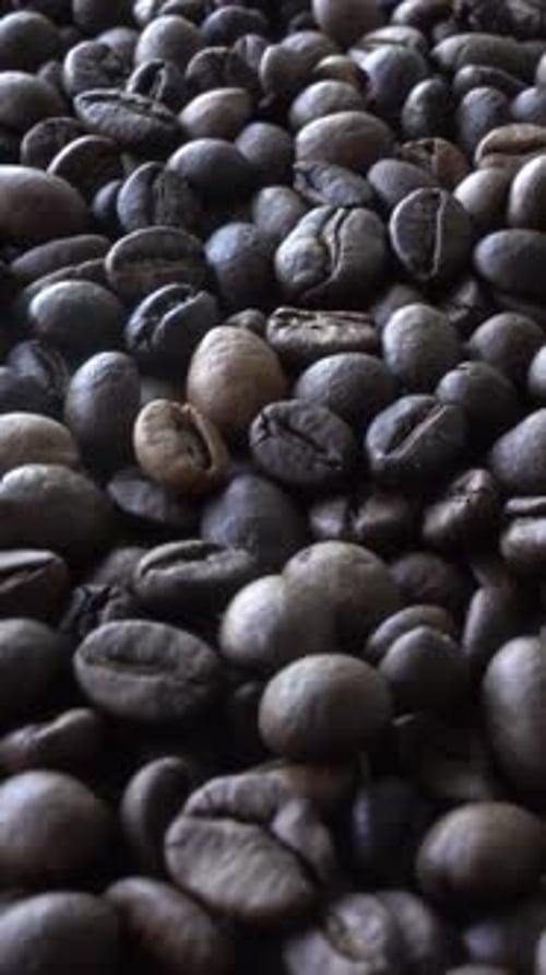 Vertikales Video von Kaffeebohnen
