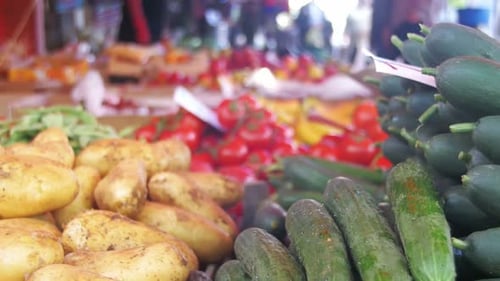 Showcase Vegetables Counter with Vegetables on the Food Market