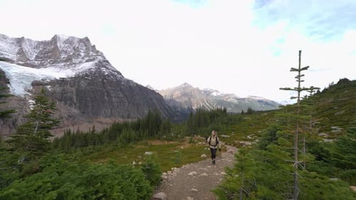 Mujer haciendo senderismo con bastones de marcha nórdica en un verde valle alpino a través de las Montañas Rocosas canadienses