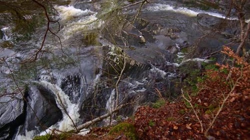 Weitwinkelneigung nach oben, um einen Wasserfall zu zeigen, der wie ein Fluss fließt. Im Herbst.
Schottland