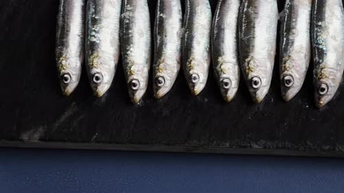 Fresh Sea Sardines and Anchovy Fish and Mullus On Display On Ice On Market Store Shop Seafood Fish