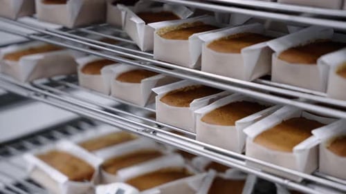 confectionery and bakery industry preparing dough and pastries