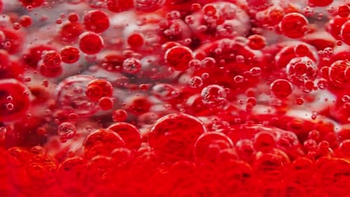 macro shot of a bunch of red bubbles in water moving constantly