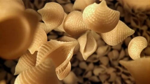 Close Up of Falling Shell Pasta