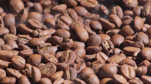 Steaming Coffee Beans Close Up Shot