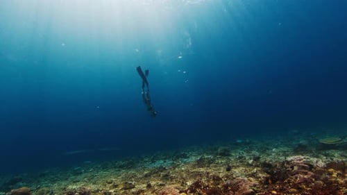 Female Freediver Swims in the Tropical Sea Woman Free Diver Glides Underwater in a Sea and Descends