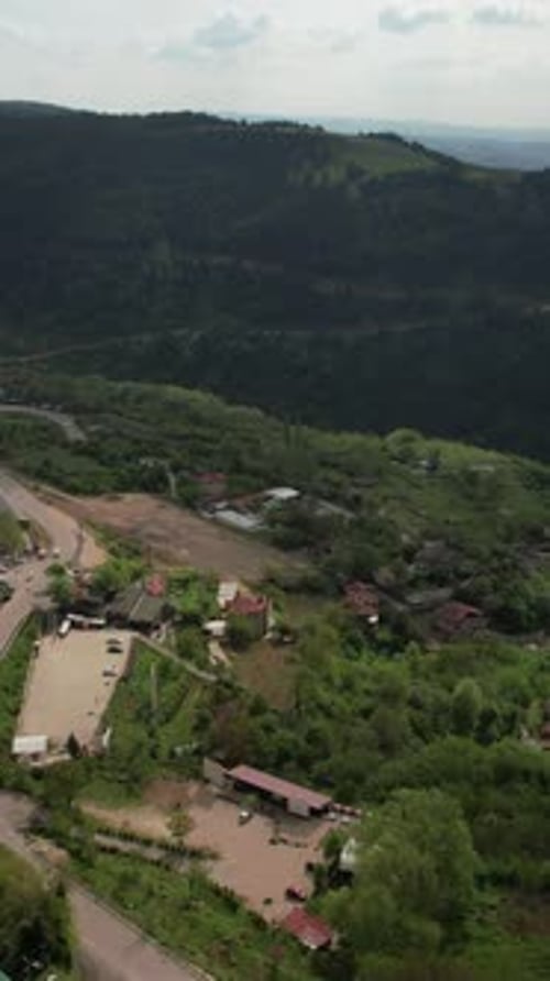 Village dans la forêt verte